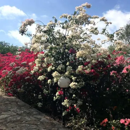 Maria Francesca Near Villa *