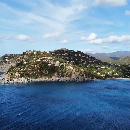 Maria Francesca Near