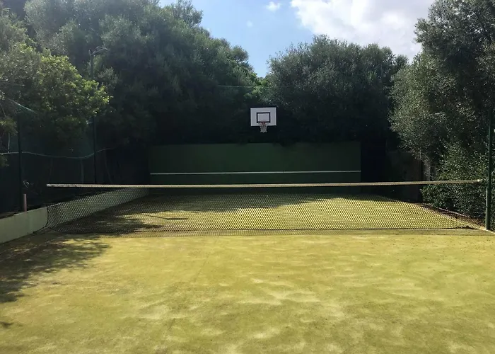 Maria Francesca Near * 托雷德尔斯泰尔