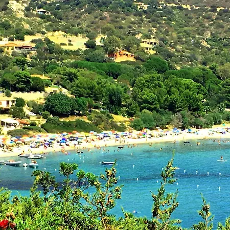 Maria Francesca Near توري ديل ستيل