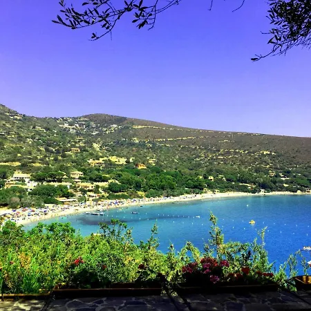 Maria Francesca Near فيلة