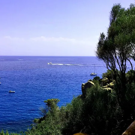 Maria Francesca Near فيلة *
