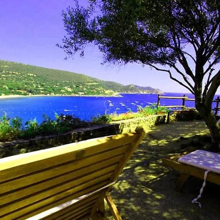 Maria Francesca Near