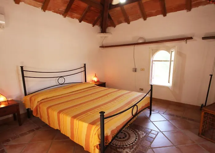 Maria Francesca Near